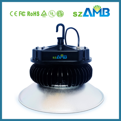 High Power 100W Led Industrial Light Fixtures
