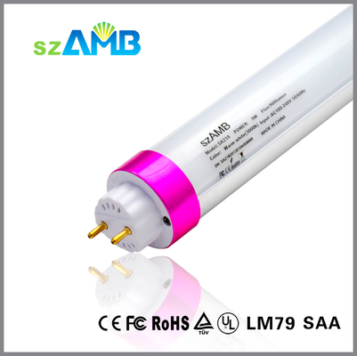 22 W T8 Led Fluorescent Tubes