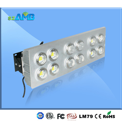 600w LED Flood Light for Sport Field, Stadium, Gym Lighting