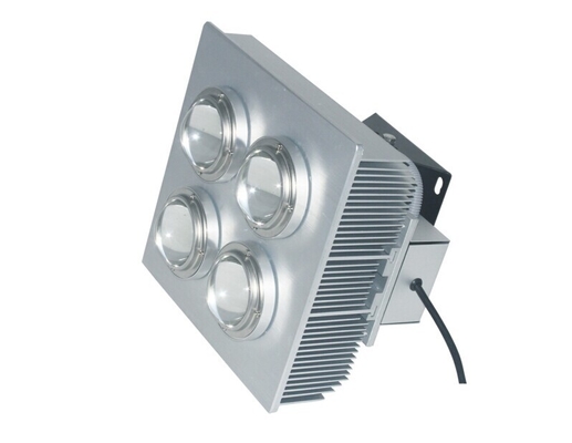 Dimmable Driver Led Landscape Flood Light 300 Watt Waterproof Bridgelux chip