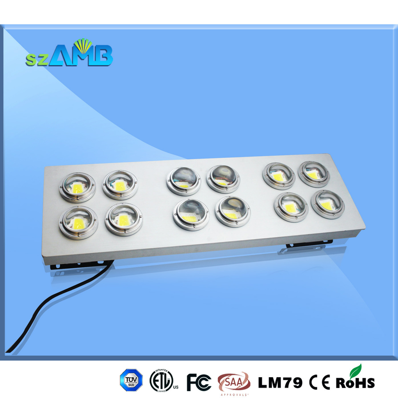 Dimmable Driver Led Outdoor Floodlight 600 Watt IP65 Eco-friendly for stadium